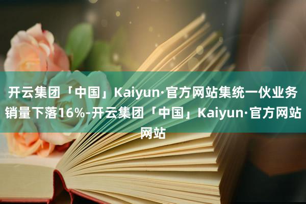 开云集团「中国」Kaiyun·官方网站集统一伙业务销量下落16%-开云集团「中国」Kaiyun·官方网站