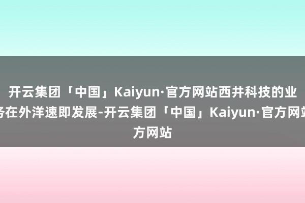 开云集团「中国」Kaiyun·官方网站西井科技的业务在外洋速即发展-开云集团「中国」Kaiyun·官方网站