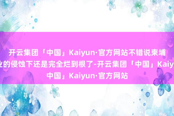 开云集团「中国」Kaiyun·官方网站不错说柬埔寨在灰色产业的侵蚀下还是完全烂到根了-开云集团「中国」Kaiyun·官方网站