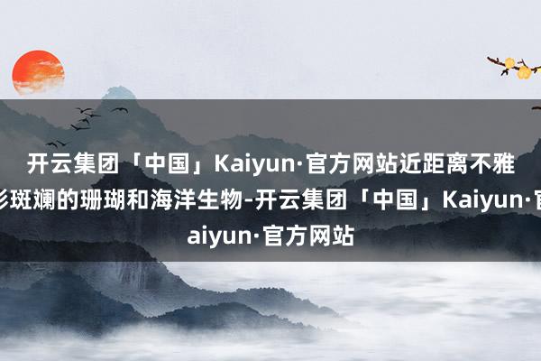 开云集团「中国」Kaiyun·官方网站近距离不雅赏了五彩斑斓的珊瑚和海洋生物-开云集团「中国」Kaiyun·官方网站