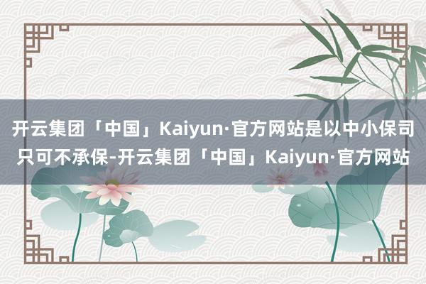 开云集团「中国」Kaiyun·官方网站是以中小保司只可不承保-开云集团「中国」Kaiyun·官方网站