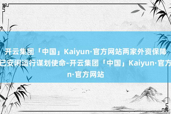 开云集团「中国」Kaiyun·官方网站两家外资保障机构已安闲运行谋划使命-开云集团「中国」Kaiyun·官方网站