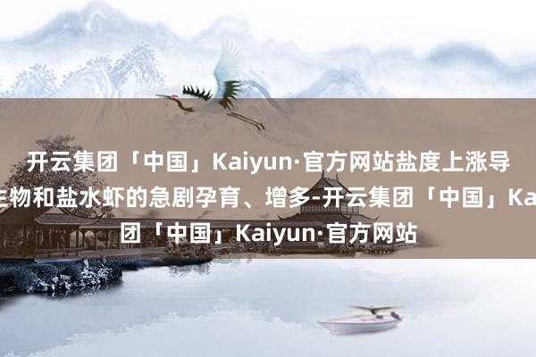 开云集团「中国」Kaiyun·官方网站盐度上涨导致红藻、浮游生物和盐水虾的急剧孕育、增多-开云集团「中国」Kaiyun·官方网站