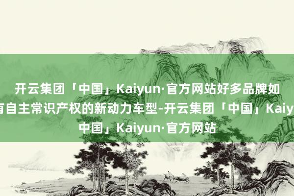 开云集团「中国」Kaiyun·官方网站好多品牌如故推出了具有自主常识产权的新动力车型-开云集团「中国」Kaiyun·官方网站