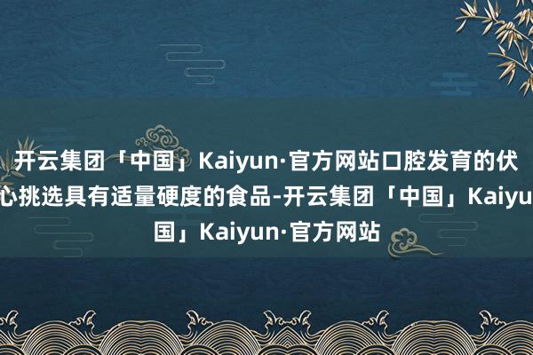 开云集团「中国」Kaiyun·官方网站口腔发育的伏击性：- 尽心挑选具有适量硬度的食品-开云集团「中国」Kaiyun·官方网站