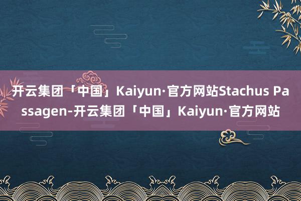 开云集团「中国」Kaiyun·官方网站Stachus Passagen-开云集团「中国」Kaiyun·官方网站