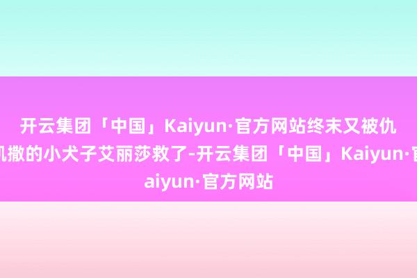 开云集团「中国」Kaiyun·官方网站终末又被仇东谈主凯撒的小犬子艾丽莎救了-开云集团「中国」Kaiyun·官方网站